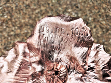 Load image into Gallery viewer, Blooming Copper Rose