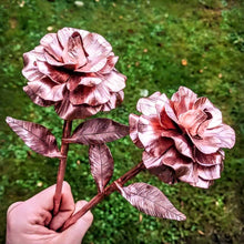 Load image into Gallery viewer, Blooming Copper Rose