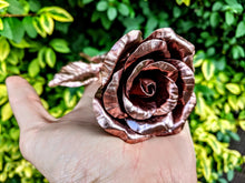 Load image into Gallery viewer, Early Blooming Copper Rose