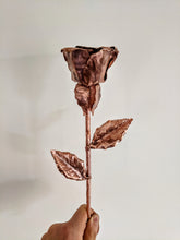 Load image into Gallery viewer, Early Blooming Copper Rose