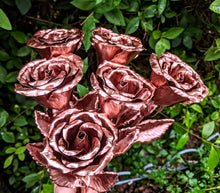 Load image into Gallery viewer, Early Blooming Copper Rose