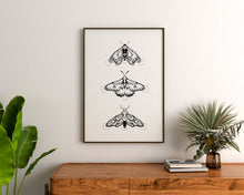 Load image into Gallery viewer, Moth Trio