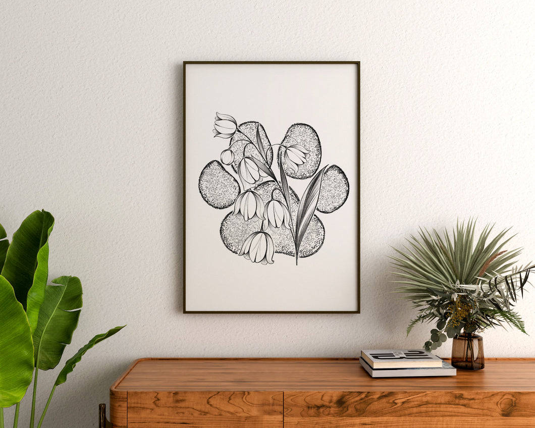 Lily of The Valley - Paw Print