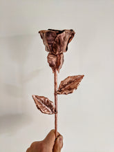 Load image into Gallery viewer, Early Blooming Copper Rose
