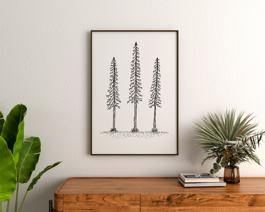 Trio of Pines